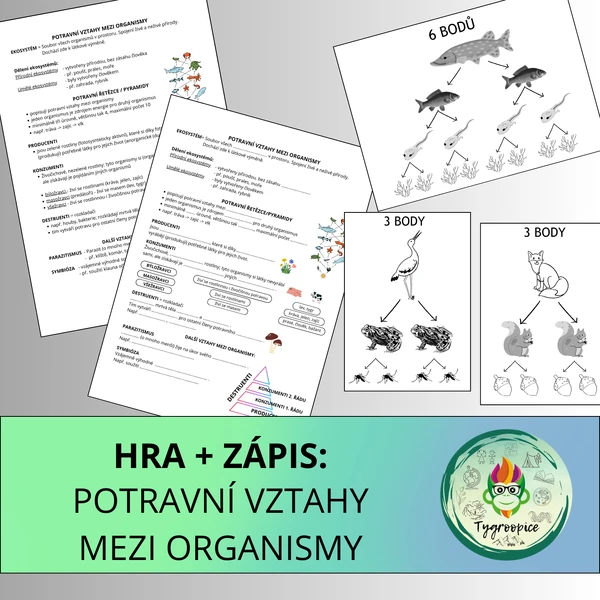 Hra: potravní vztahy mezi organismy