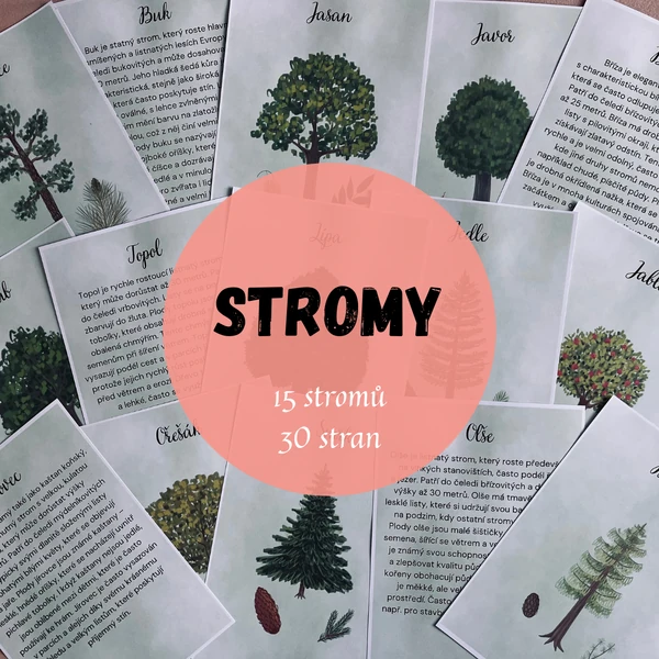 STROMY 