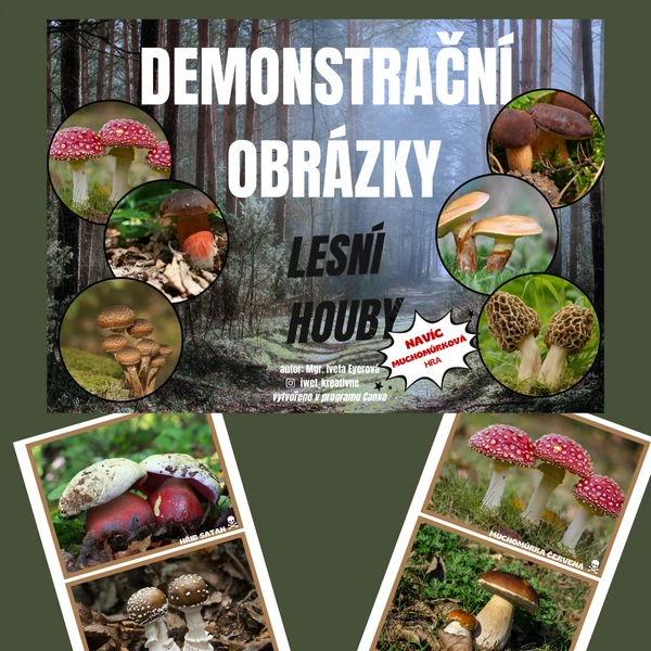 LESNÍ HOUBY (demonstrační obrázky) + Muchomůrková hra