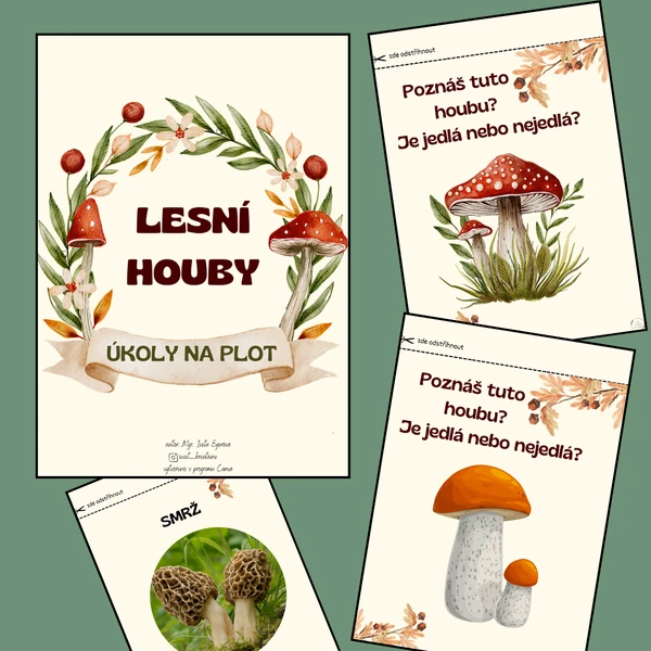 LESNÍ HOUBY - úkoly na plot (plotovka)