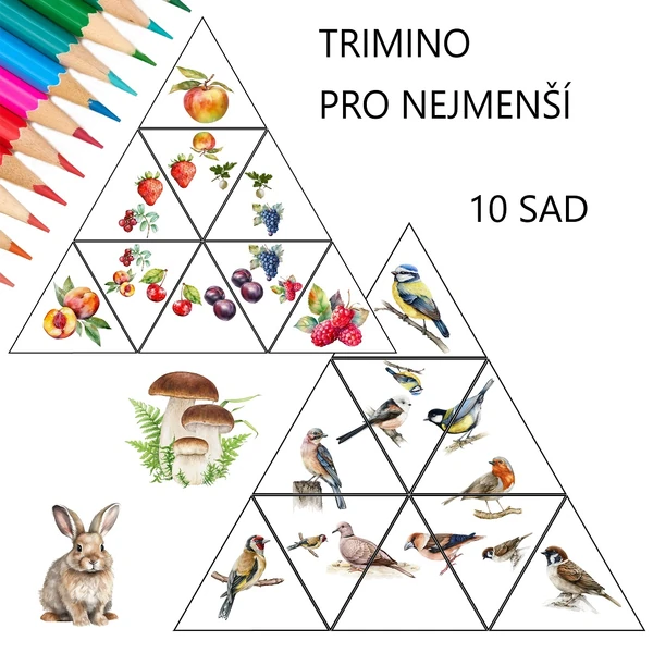 TRIMINO PRO NEJMENŠÍ - 10 SAD