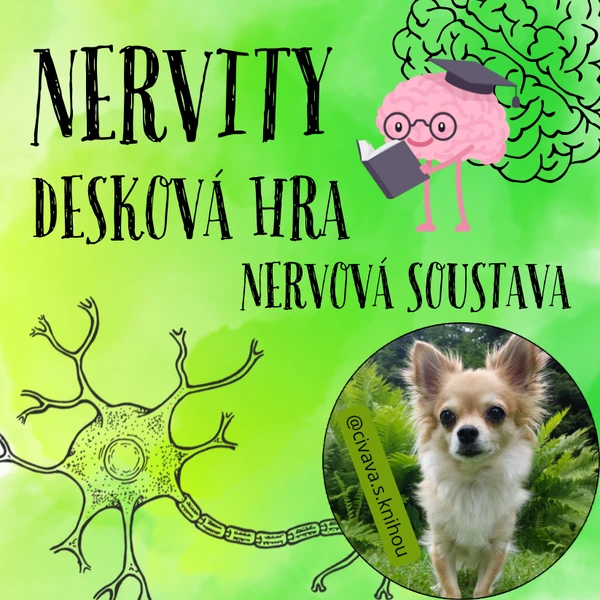Nervová soustava - desková hra Nervity