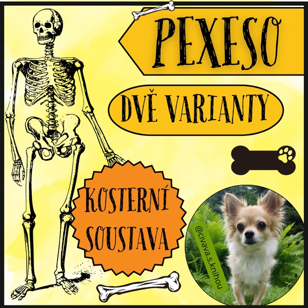 Kosterní soustava - pexeso