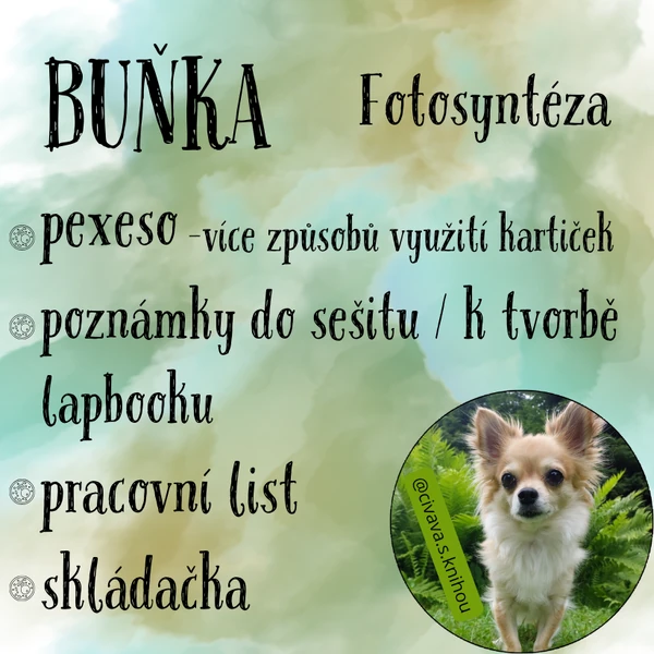 Buňka + fotosyntéza