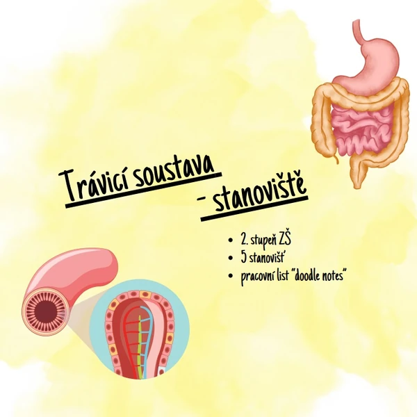 Trávicí soustava - stanoviště