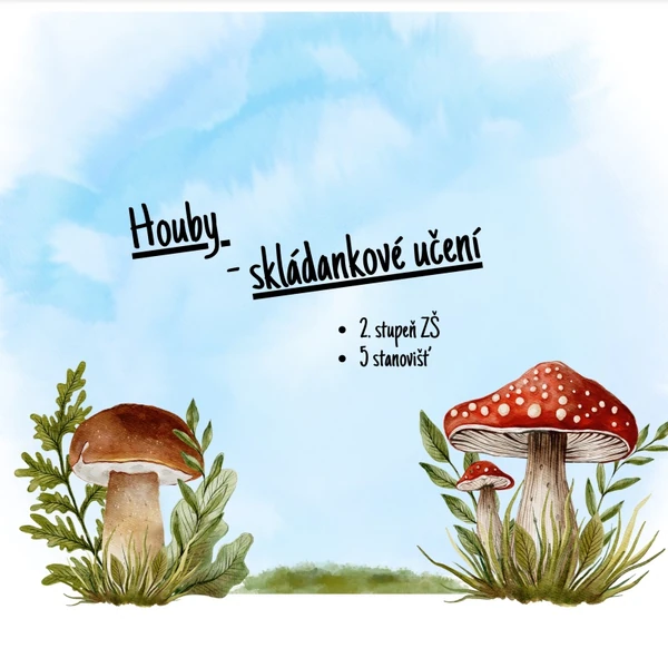 Houby - Skládankové učení, BOV
