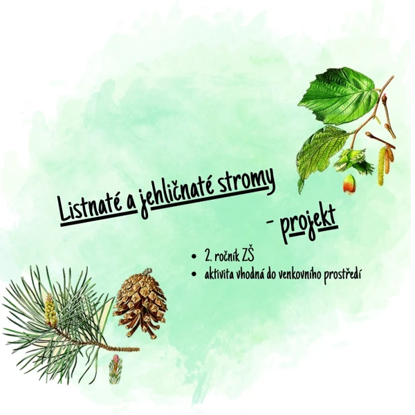 Listnaté a jehličnaté stromy - projekt