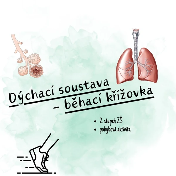 Dýchací soustava - běhací křížovka