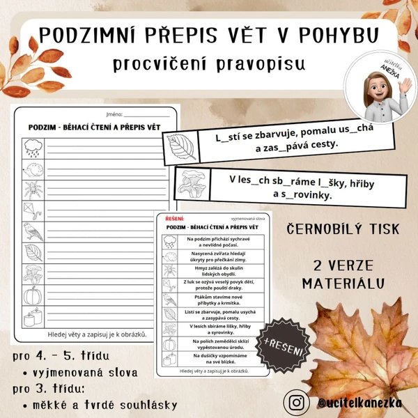 PODZIMNÍ PŘEPIS VĚT V POHYBU (procvičení pravopisu)