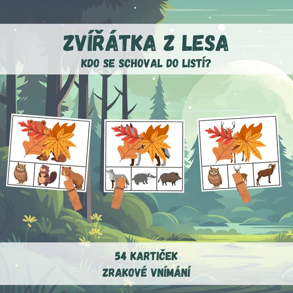 Zvířátka z lesa - kdo se schoval do listí?