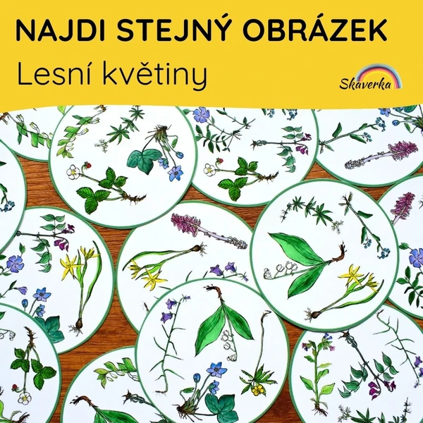 NAJDI STEJNÝ OBRÁZEK - Lesní květiny