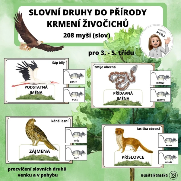 SLOVNÍ DRUHY DO PŘÍRODY - KRMENÍ ŽIVOČICHŮ