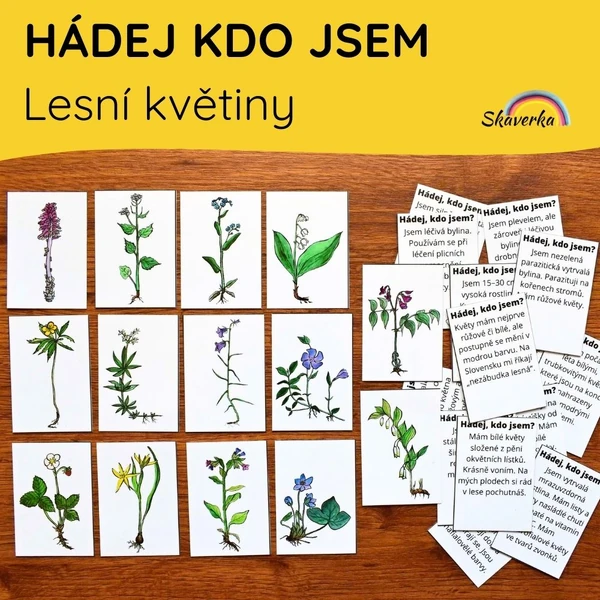 HÁDEJ KDO JSEM - Lesní květiny