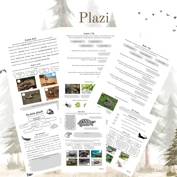 Systém plazů