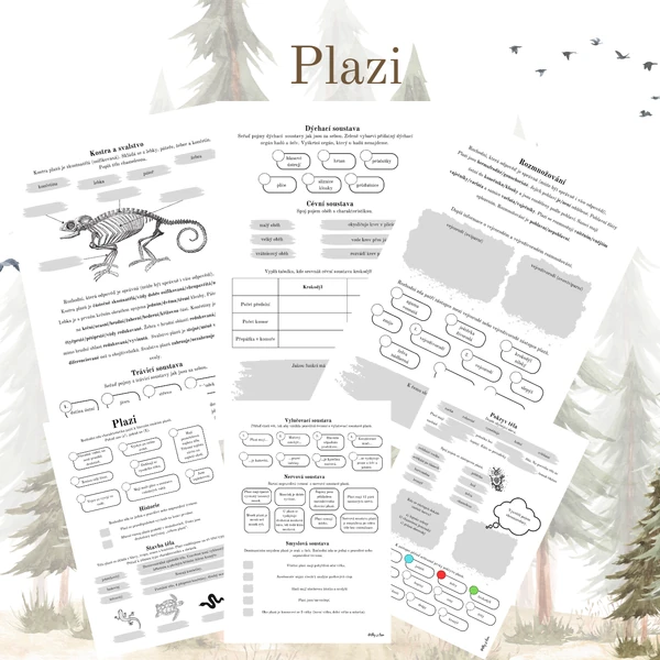 Plazi