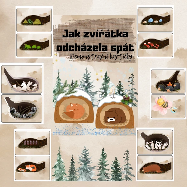 JAK ZVÍŘÁTKA ODCHÁZELA SPÁT💤🐻🦔🦡🛌🏻