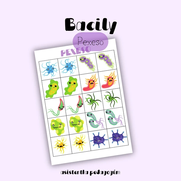 Bacily - pexeso