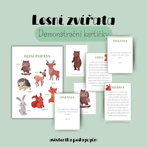 Demonstrační karty a obrázky - Lesní zvířatka