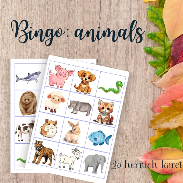 Bingo - ANIMALS