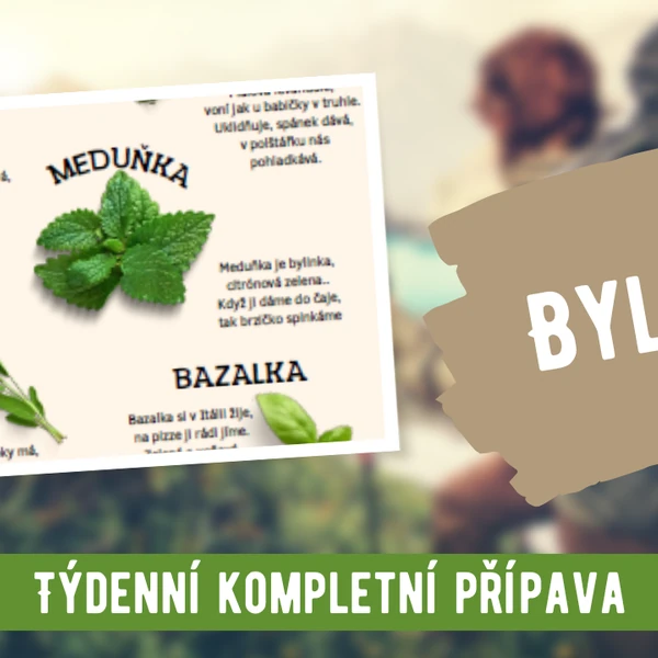 Bylinky - projekt MŠ