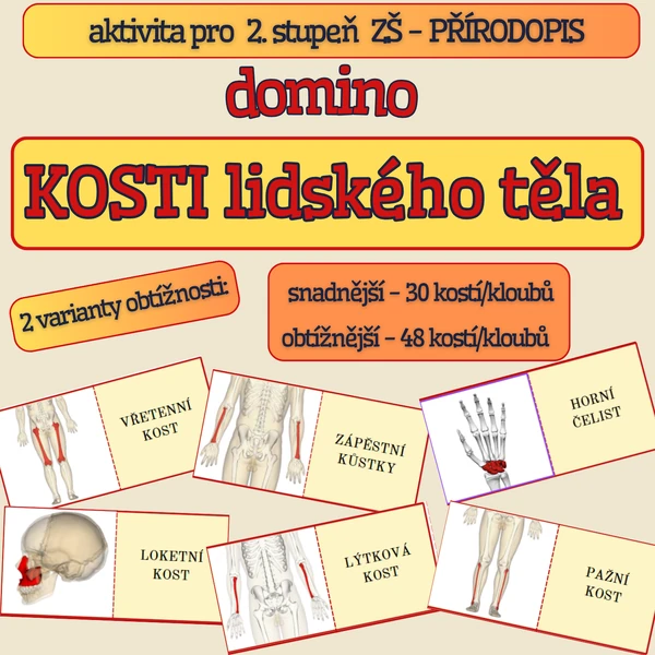 Domino - KOSTI LIDSKÉHO TĚLA
