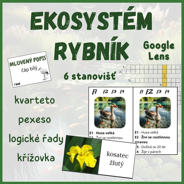 Ekosystém RYBNÍK - stanoviště