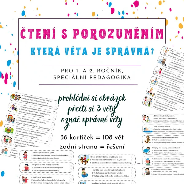 Čtení s porozuměním - Která věta je správná?