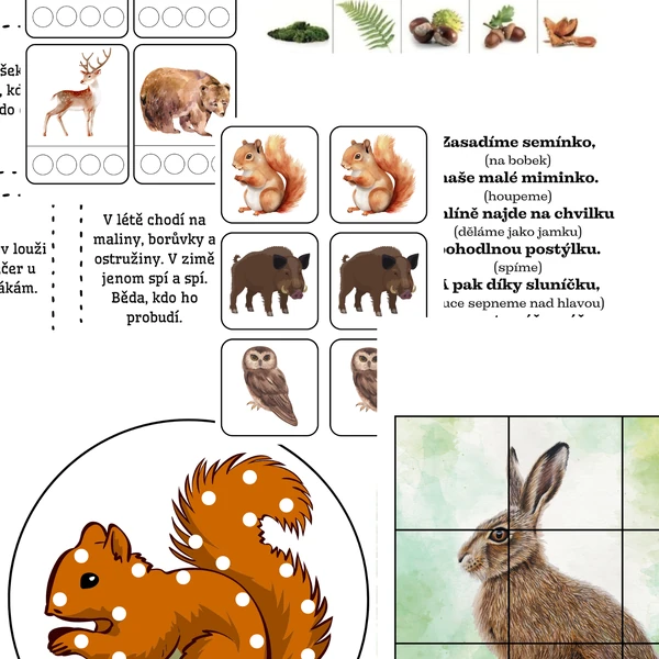 Lesní zvířata - materiály k vytisknutí