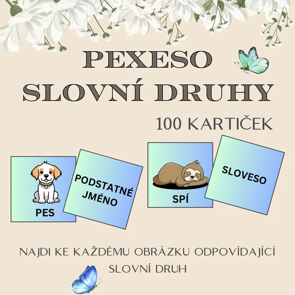 Pexeso - slovní druhy