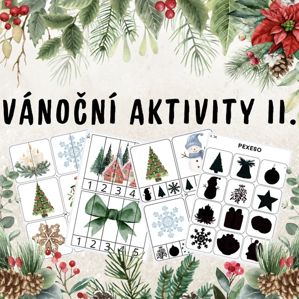 Vánoční aktivity II.