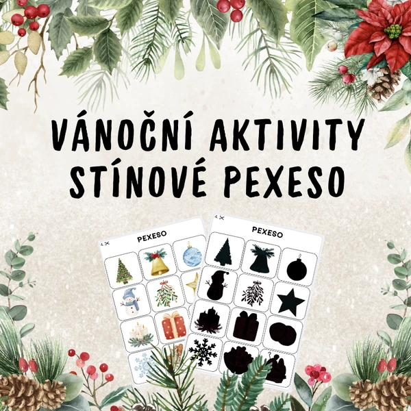 Vánoční aktivity - Stínové pexeso