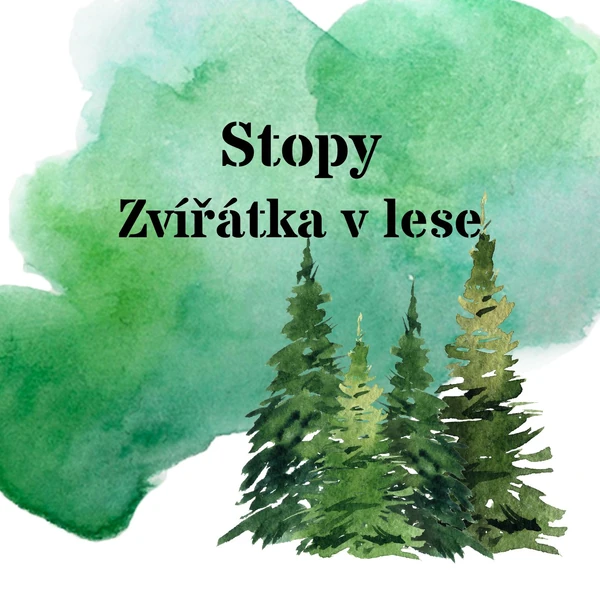 Stopy - lesní zvířátka