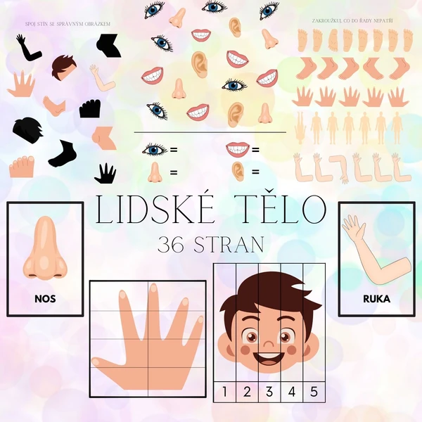 Lidské tělo - 36 stran