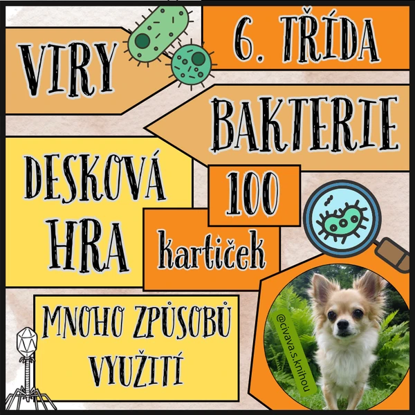 Viry a bakterie