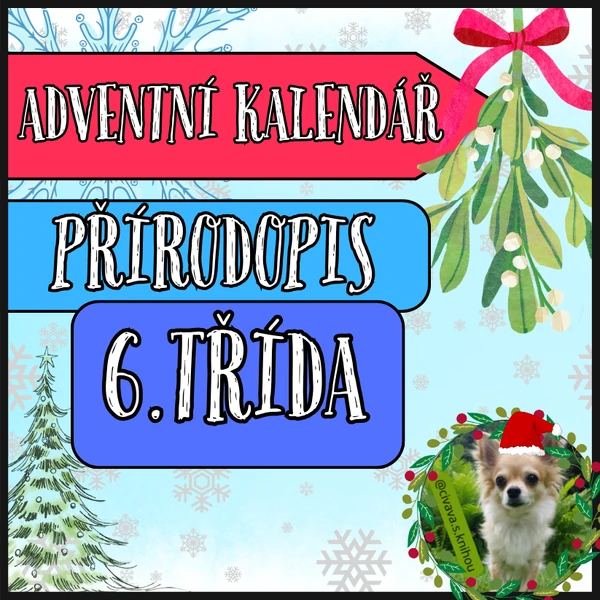 Adventní kalendář - přírodopis 6. třída
