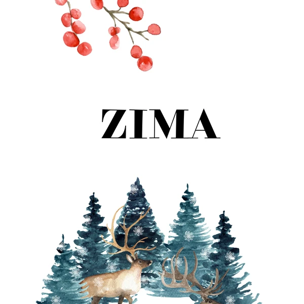 Zima