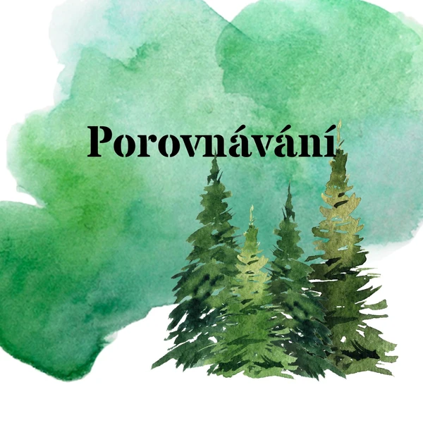 Porovnávání - Les