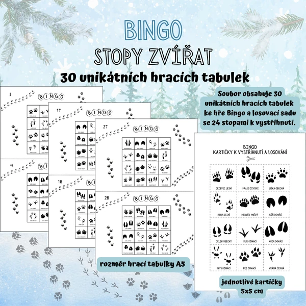 BINGO - Stopy zvířat