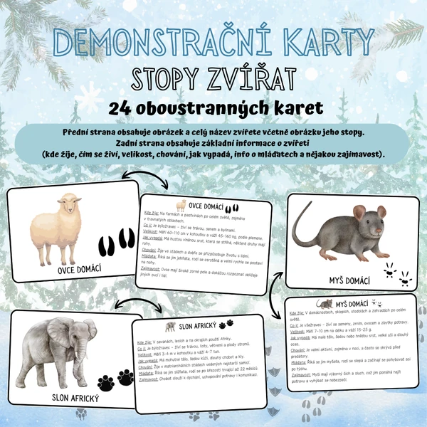 DEMONSTRAČNÍ KARTY - Stopy zvířat