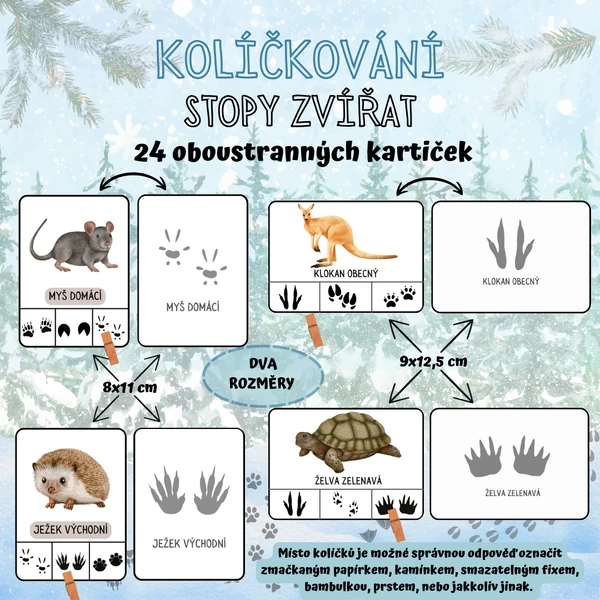 KOLÍČKOVÁNÍ - Stopy zvířat