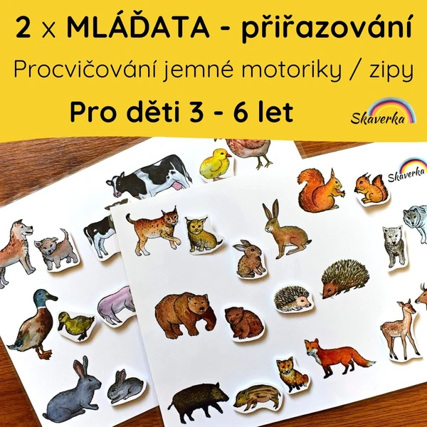 2 x MLÁĎATA přiřazování