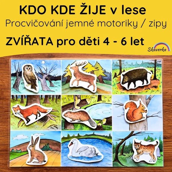 Kdo kde žije – Zvířata z lesa