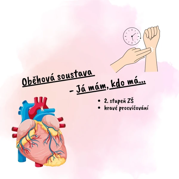 Oběhová soustava - Já mám, kdo má...