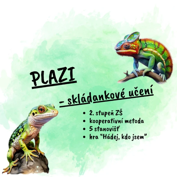 Plazi - skládankové učení