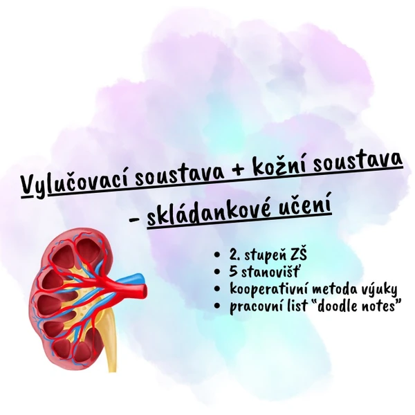 Vylučovací soustava - skládankové učení