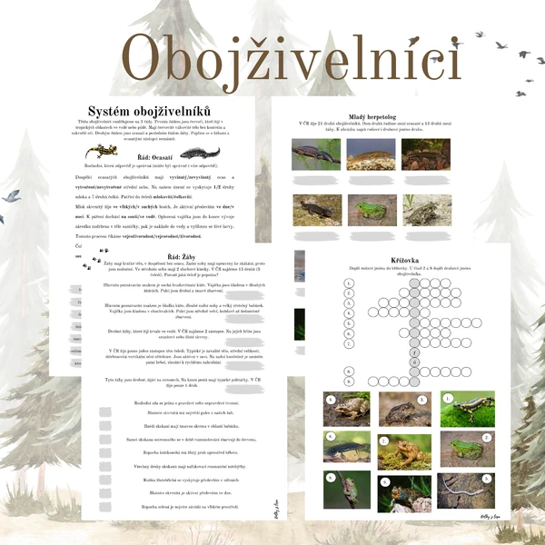 Systematika obojživelníků