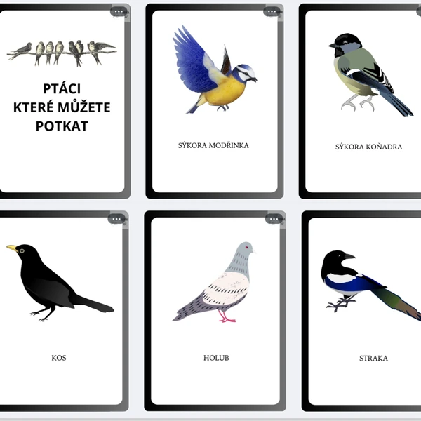 Ptáci ČR