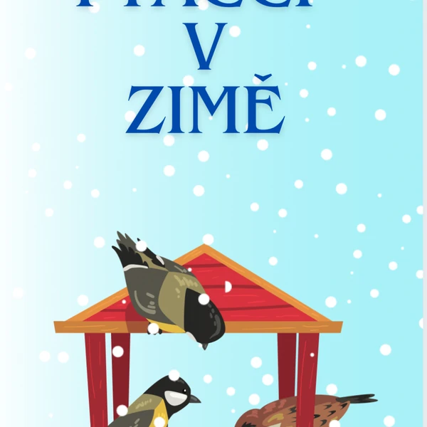 Ptáčci v zimě