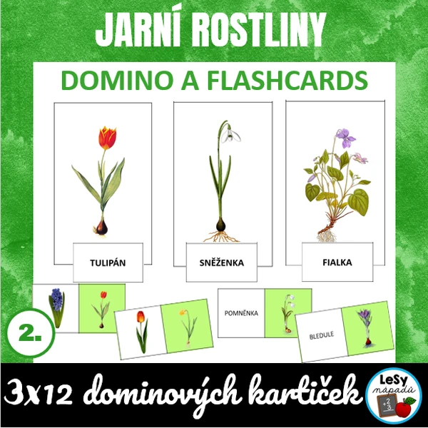 Jarní rostliny - domino