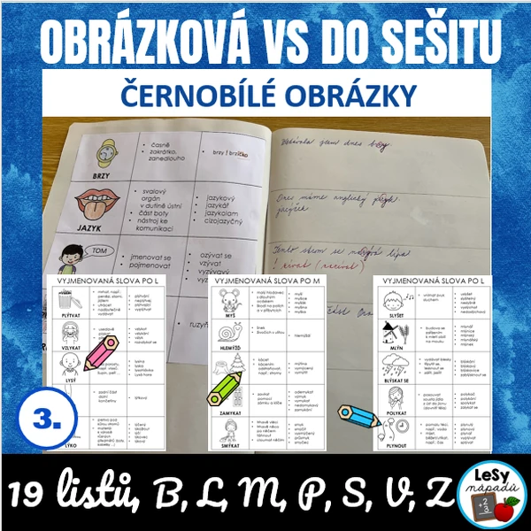 Obrázková vyjmenovaná slova 